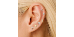 Dongguan Fuyang Jewelry Co.Ltd